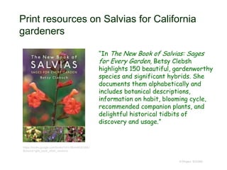 Print resources on Salvias for California
gardeners
“In The New Book of Salvias: Sages
for Every Garden, Betsy Clebsh
highlights 150 beautiful, gardenworthy
species and significant hybrids. She
documents them alphabetically and
includes botanical descriptions,
information on habit, blooming cycle,
recommended companion plants, and
delightful historical tidbits of
discovery and usage.”
© Project SOUND
https://books.google.com/books?id=L5KcnAEACAAJ
&source=gbs_book_other_versions
 