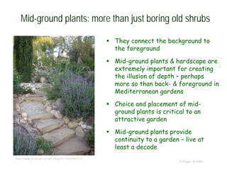 Mid-ground plants: more than just boring old shrubs
 They connect the background to
the foreground
 Mid-ground plants & hardscape are
extremely important for creating
the illusion of depth – perhaps
more so than back- & foreground in
Mediterranean gardens
 Choice and placement of mid-
ground plants is critical to an
attractive garden
 Mid-ground plants provide
continuity to a garden – live at
least a decade
© Project SOUND
https://www.pinterest.com/pin/365073113524893117/
 