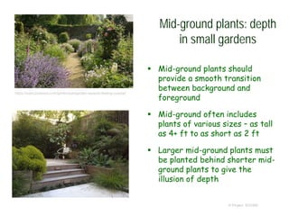 Mid-ground plants: depth
in small gardens
 Mid-ground plants should
provide a smooth transition
between background and
foreground
 Mid-ground often includes
plants of various sizes – as tall
as 4+ ft to as short as 2 ft
 Larger mid-ground plants must
be planted behind shorter mid-
ground plants to give the
illusion of depth
© Project SOUND
https://www.pinterest.com/garteneule/garden-seaside-feeling-coastal/
 
