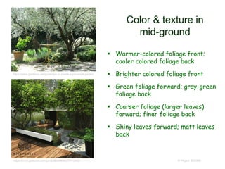 Color & texture in
mid-ground
 Warmer-colored foliage front;
cooler colored foliage back
 Brighter colored foliage front
 Green foliage forward; gray-green
foliage back
 Coarser foliage (larger leaves)
forward; finer foliage back
 Shiny leaves forward; matt leaves
back
© Project SOUND
https://www.gardenia.net/guide/tips-to-create-a-provence-garden
https://www.pinterest.com/pin/238127899027642842/
 