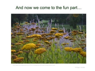 And now we come to the fun part…
© Project SOUND
http://www.torontogardens.com/2016/10/designing-with-see-through-plants.html/
 