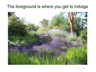 The foreground is where you get to indulge
© Project SOUND
 