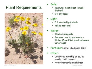 © Project SOUND
Plant Requirements
 Soils:
 Texture: most; best in well-
drained
 pH: any local
 Light:
 Full sun to light shade
 Takes heat well
 Water:
 Winter: adequate
 Summer: low to moderate –
Water Zone 2 (dry out between
waterings)
 Fertilizer: none; likes poor soils
 Other:
 Deadhead monthly or so, as
needed; will re-seed
 No or inorganic mulch best
©2004 James M. Andre
 