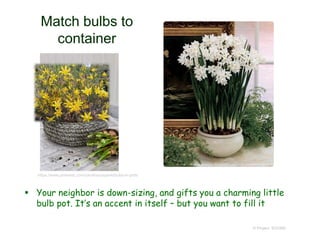 Match bulbs to
container
 Your neighbor is down-sizing, and gifts you a charming little
bulb pot. It’s an accent in itself – but you want to fill it
© Project SOUND
https://www.pinterest.com/carolinecooperk/bulbs-in-pots/
 