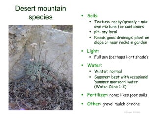 © Project SOUND
Desert mountain
species  Soils:
 Texture: rocky/gravely – mix
own mixture for containers
 pH: any local
 Needs good drainage: plant on
slope or near rocks in garden
 Light:
 Full sun (perhaps light shade)
 Water:
 Winter: normal
 Summer: best with occasional
‘summer monsoon’ water
(Water Zone 1-2)
 Fertilizer: none; likes poor soils
 Other: gravel mulch or none
 