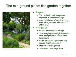 The mid-ground plane: ties garden together
 Purposes
 Tie the back- and foreground
together in coherent design
 Give the illusion of depth through
size, color, texture and other
attributes
 Attributes
 Chosen primarily for foliage
 Size: ranging from slightly smaller
than background to larger than
foreground
 Color: brighter, lighter and less
grayed than background
 Medium texture (often)
 Swaths of color; repetition
© Project SOUND
https://www.pinterest.com/pin/365073113524893117/
 