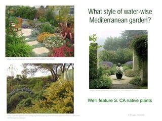 What style of water-wise
Mediterranean garden?
© Project SOUNDhttp://gardengates.info/category/landscaping-and-landscapes/southern-california-
landscaping-design/
https://www.pinterest.com/pin/426364289694847260/
We’ll feature S. CA native plants
 