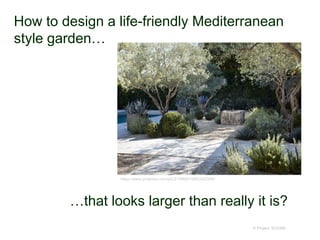 How to design a life-friendly Mediterranean
style garden…
© Project SOUND
https://www.pinterest.com/pin/212865519863542396/
…that looks larger than really it is?
 