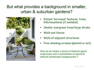 But what provides a background in smaller,
urban & suburban gardens?
 Distant ‘borrowed’ features: trees,
hills/mountains (if available)
 Smaller evergreen trees/large shrubs
 Walls and fences
 Walls of adjacent structures
 Free-standing screens (planted or not)
© Project SOUND
How do we create a sense of distance (given
small areas and a combination of natural &
artificial (hardscape) backgrounds) ?
 