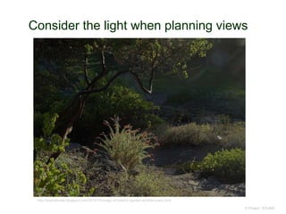 Consider the light when planning views
© Project SOUND
http://prairiebreak.blogspot.com/2016/10/magic-of-botanic-garden-at-tilden-park.html
 