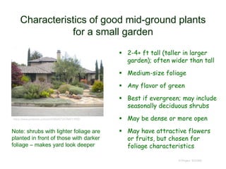 Characteristics of good mid-ground plants
for a small garden
 2-4+ ft tall (taller in larger
garden); often wider than tall
 Medium-size foliage
 Any flavor of green
 Best if evergreen; may include
seasonally deciduous shrubs
 May be dense or more open
 May have attractive flowers
or fruits, but chosen for
foliage characteristics
© Project SOUND
https://www.pinterest.com/pin/428545720766011955/
Note: shrubs with lighter foliage are
planted in front of those with darker
foliage – makes yard look deeper
 
