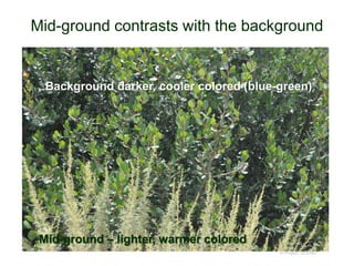 Mid-ground contrasts with the background
© Project SOUND
Background darker, cooler colored (blue-green)
Mid-ground – lighter, warmer colored
 