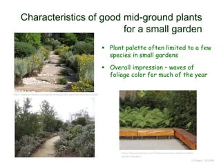 Characteristics of good mid-ground plants
for a small garden
 Plant palette often limited to a few
species in small gardens
 Overall impression – waves of
foliage color for much of the year
© Project SOUND
https://www.pinterest.com/Vitexlucens/new-zealand-native-
garden-designs/
https://www.pinterest.com/garteneule/garden-seaside-feeling-coastal/
 