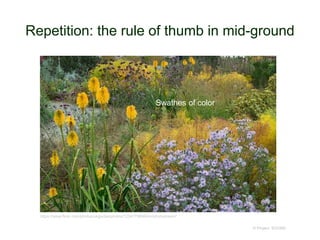 Repetition: the rule of thumb in mid-ground
© Project SOUND
https://www.flickr.com/photos/ukgardenphotos/12347798964/in/photostream/
Swathes of color
 