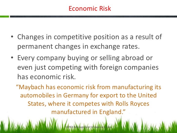 Foreign Exchange Risk - 