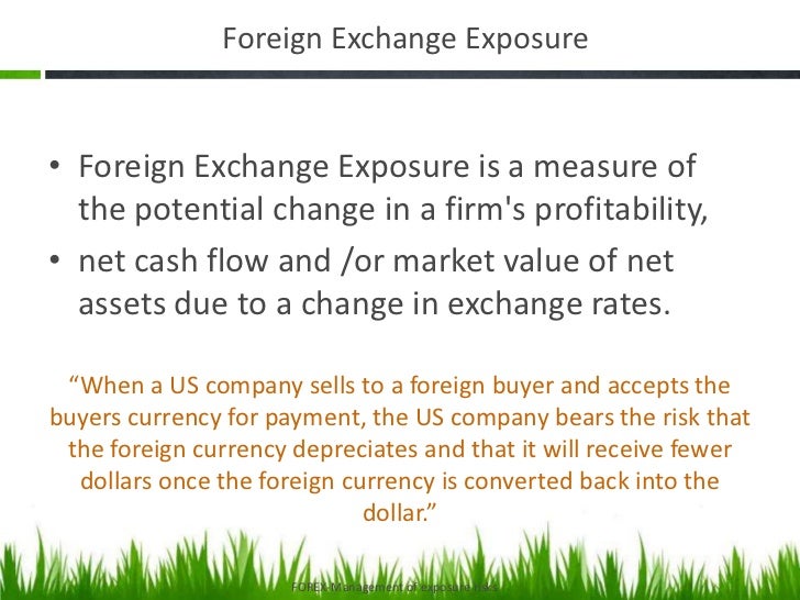 Foreign Exchange Risk - 