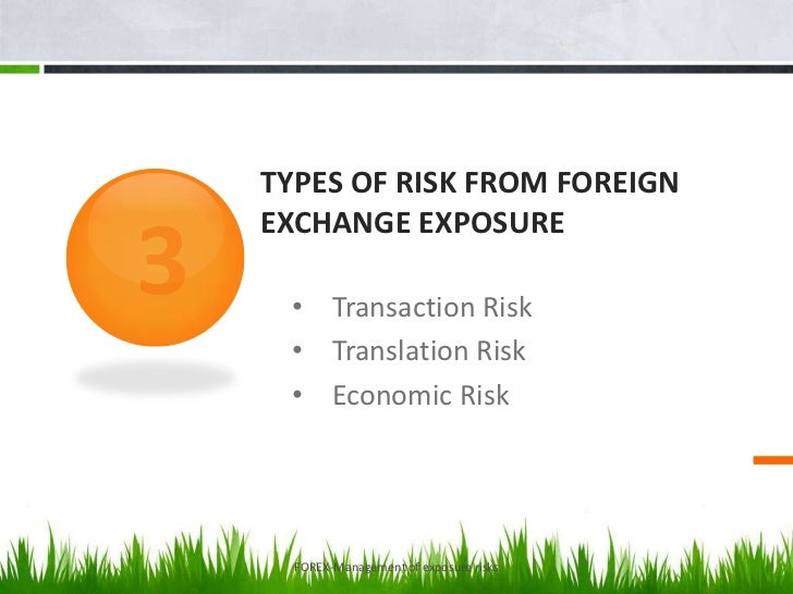 Forex exposure risk management