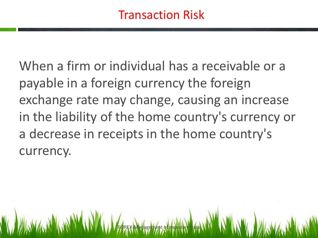 Foreign Exchange Risk