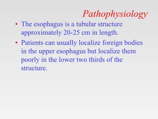 Pathophysiology
• The esophagus is a tubular structure
approximately 20-25 cm in length.
• Patients can usually localize foreign bodies
in the upper esophagus but localize them
poorly in the lower two thirds of the
structure.
 