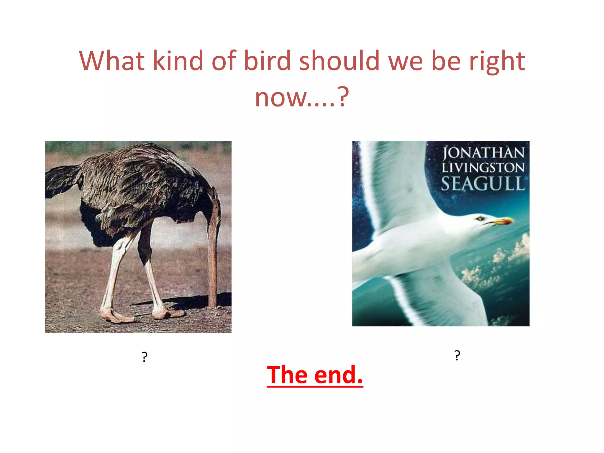 What kind of bird should we be right
now....?
The end.
? ?
 