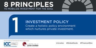 Principles to mobilize investment for the Sustainable Development Goals