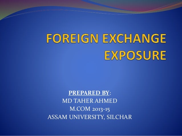 Foreign Exchange Exposure - 