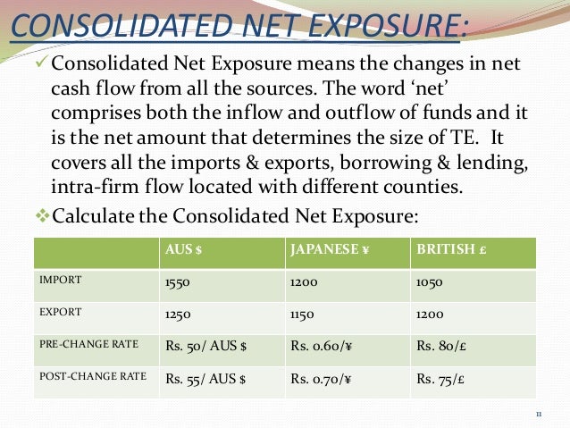 Foreign Exchange Exposure - 