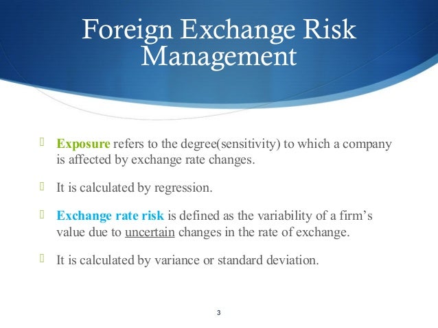 Foreign exchange risk