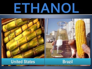 United States Brazil
 