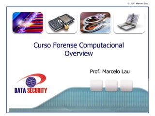 © 2011 Marcelo Lau




        o
Curso Forense Computacional
          Overview

                Prof. Marcelo Lau
 