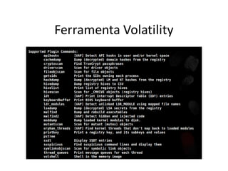 Ferramenta Volatility
 
