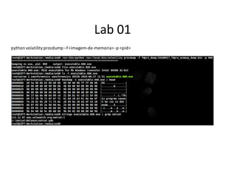 Lab 01
python volatility procdump –f <imagem-de-memoria> -p <pid>
 