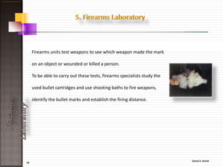 18
ForensicLaboratory
• Tiny particles of blood will cling to most
surfaces for years
• Hidden blood spatter patterns can help
investigators locate the point of attack and
even what sort of weapon was used (a bullet
makes blood splatter very differently than a
knife does).
• Luminal may also reveal faint bloody shoe
prints, which gives investigators valuable
information about the assailant and what he or
she did after the attack
 