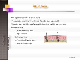 6
ForensicLaboratory
In Some classification the laboratory was
divided into four main areas of
investigation:
• Biology
• Chemistry
• DNA
• Drugs / Toxicology
 