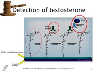 Detection of testosterone
14Mitchell et al. Biosensors and Bioelectronics 24 (2009) 2177–2183
Gold
Self assembled monolayer
 