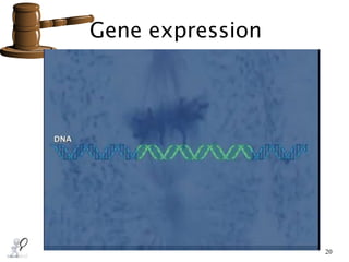 20
Gene expression
 