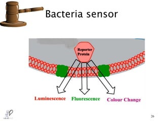 26
Bacteria sensor
 