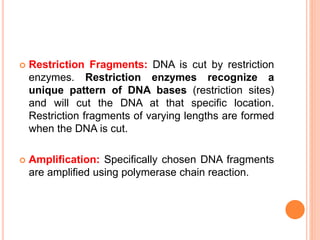  Restriction Fragments: DNA is cut by restriction 
enzymes. Restriction enzymes recognize a 
unique pattern of DNA bases (restriction sites) 
and will cut the DNA at that specific location. 
Restriction fragments of varying lengths are formed 
when the DNA is cut. 
 Amplification: Specifically chosen DNA fragments 
are amplified using polymerase chain reaction. 
 