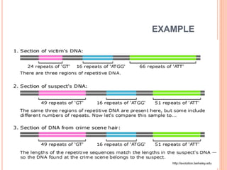 EXAMPLE 
http://evolution.berkeley.edu 
 