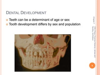 DENTAL DEVELOPMENT 
 Teeth can be a determinant of age or sex 
 Tooth development differs by sex and population 
Chapter 7 
CRC Press: Forensic Science, James and 
Nordby, 3rd Edition 
6 
 