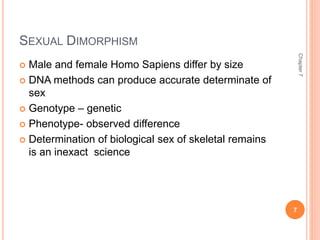 SEXUAL DIMORPHISM 
 Male and female Homo Sapiens differ by size 
 DNA methods can produce accurate determinate of 
sex 
 Genotype – genetic 
 Phenotype- observed difference 
 Determination of biological sex of skeletal remains 
is an inexact science 
Chapter 7 
7 
 