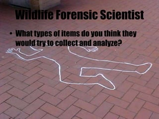 Wildlife Forensic Scientist
• What types of items do you think they
would try to collect and analyze?
 