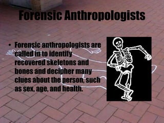Forensic Anthropologists
• Forensic anthropologists are
called in to identify
recovered skeletons and
bones and decipher many
clues about the person, such
as sex, age, and health.
 
