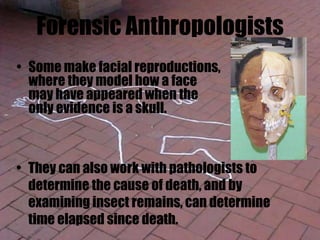 Forensic Anthropologists
• They can also work with pathologists to
determine the cause of death, and by
examining insect remains, can determine
time elapsed since death.
• Some make facial reproductions,
where they model how a face
may have appeared when the
only evidence is a skull.
 