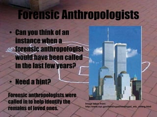 Forensic Anthropologists
• Can you think of an
instance when a
forensic anthropologist
would have been called
in the last few years?
• Need a hint?
Image taken from:
http://www.nyc.gov/html/nypd/html/nypd_wtc_emerg.html
Forensic anthropologists were
called in to help identify the
remains of loved ones.
 