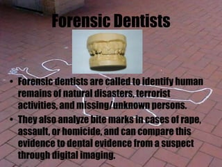 Forensic Dentists
• Forensic dentists are called to identify human
remains of natural disasters, terrorist
activities, and missing/unknown persons.
• They also analyze bite marks in cases of rape,
assault, or homicide, and can compare this
evidence to dental evidence from a suspect
through digital imaging.
 