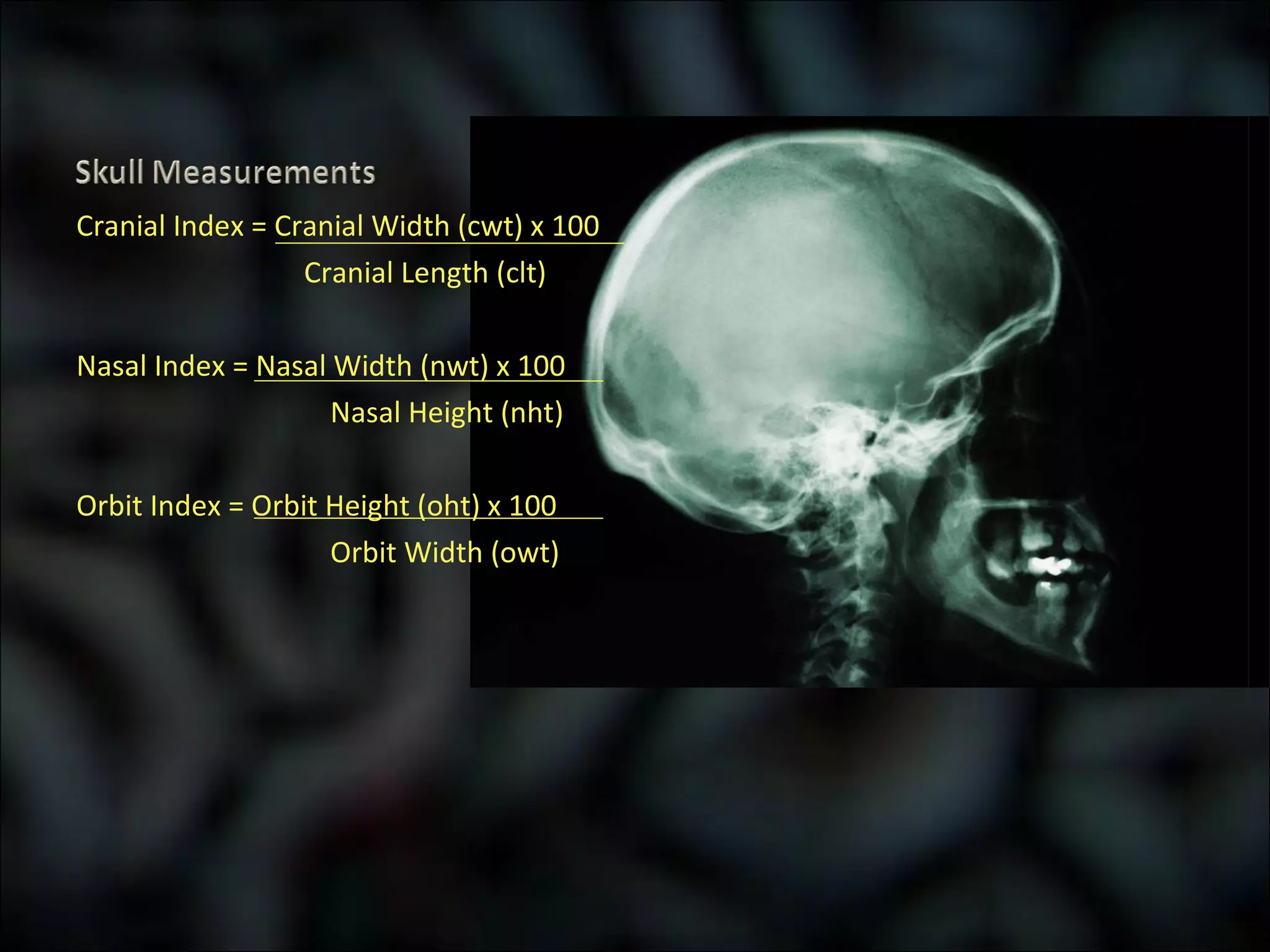 Cranial Index = Cranial Width (cwt) x 100   Cranial Length (clt) Nasal Index = Nasal Width (nwt) x 100 Nasal Height (nht) Orbit Index = Orbit Height (oht) x 100 Orbit Width (owt) 