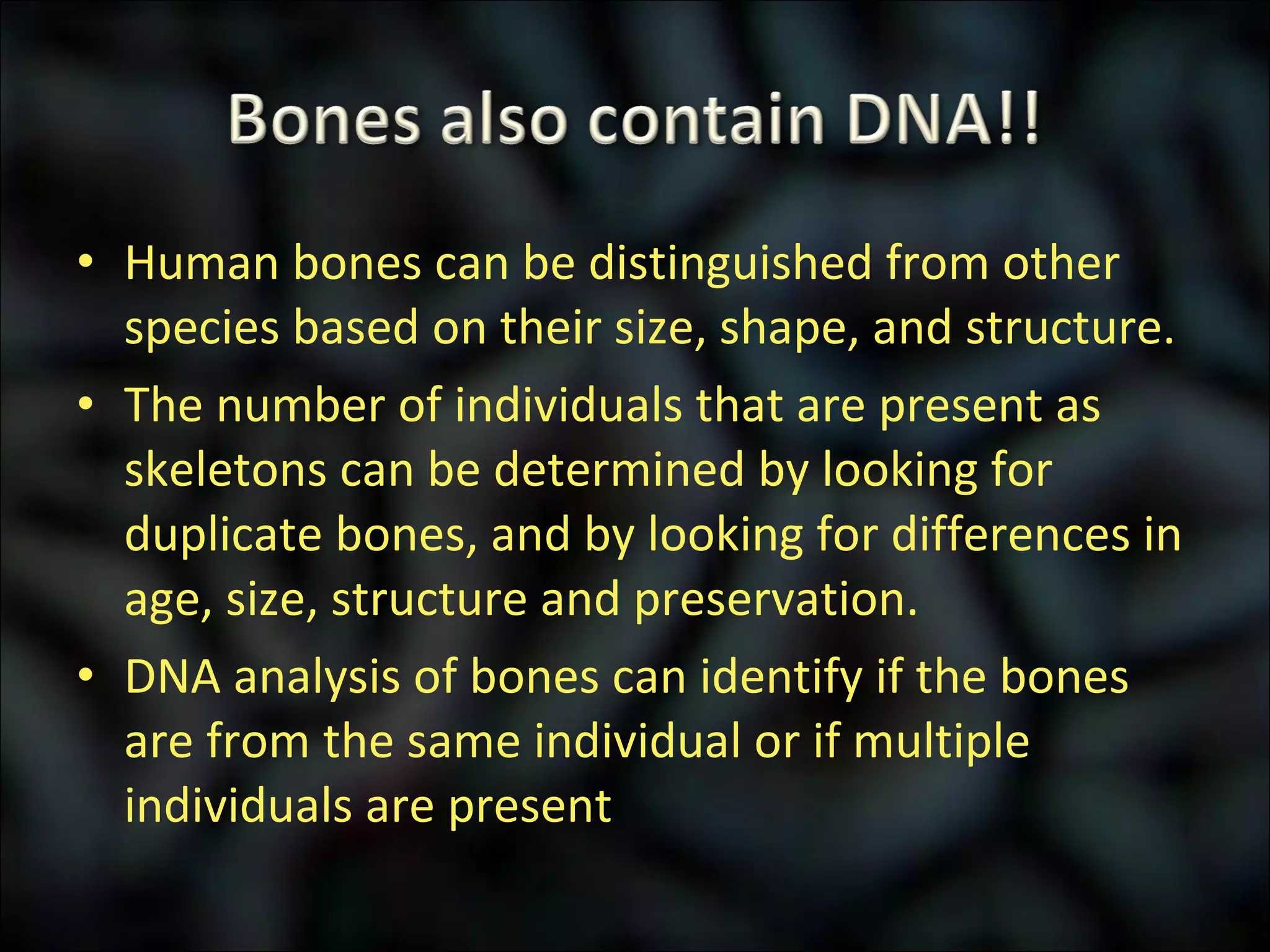 Human bones can be distinguished from other species based on their size, shape, and structure. The number of individuals that are present as skeletons can be determined by looking for duplicate bones, and by looking for differences in age, size, structure and preservation. DNA analysis of bones can identify if the bones are from the same individual or if multiple individuals are present 