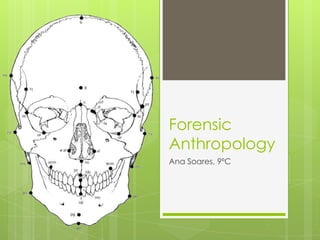 Forensic
Anthropology
Ana Soares, 9ºC
 