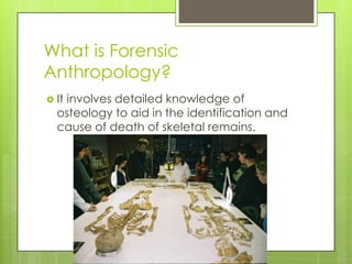 What is Forensic
Anthropology?
 It
   involves detailed knowledge of
  osteology to aid in the identification and
  cause of death of skeletal remains.
 
